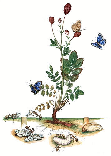 Лого пројекта